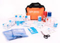 Medical Grab Bag First Aid Kit : Click for more info.